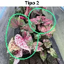 Web product images5.webp