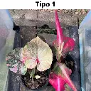 Web product images3.webp