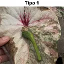 Web product images 1.webp