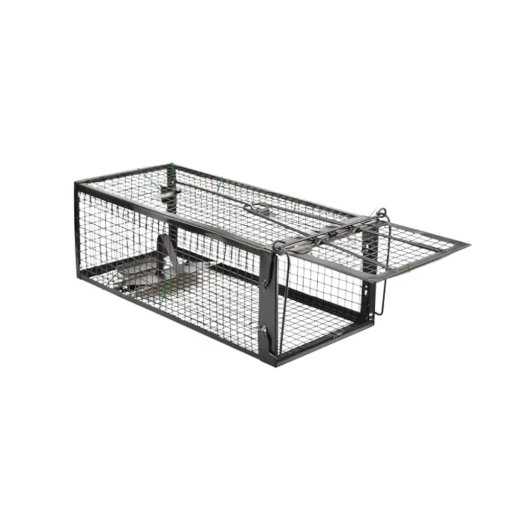 Web product picturen3.webp