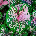 Web product picture2.webp