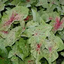 Web product picture.webp