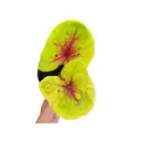 Bulbos de Caladium Exóticos Importados desde Indonesia